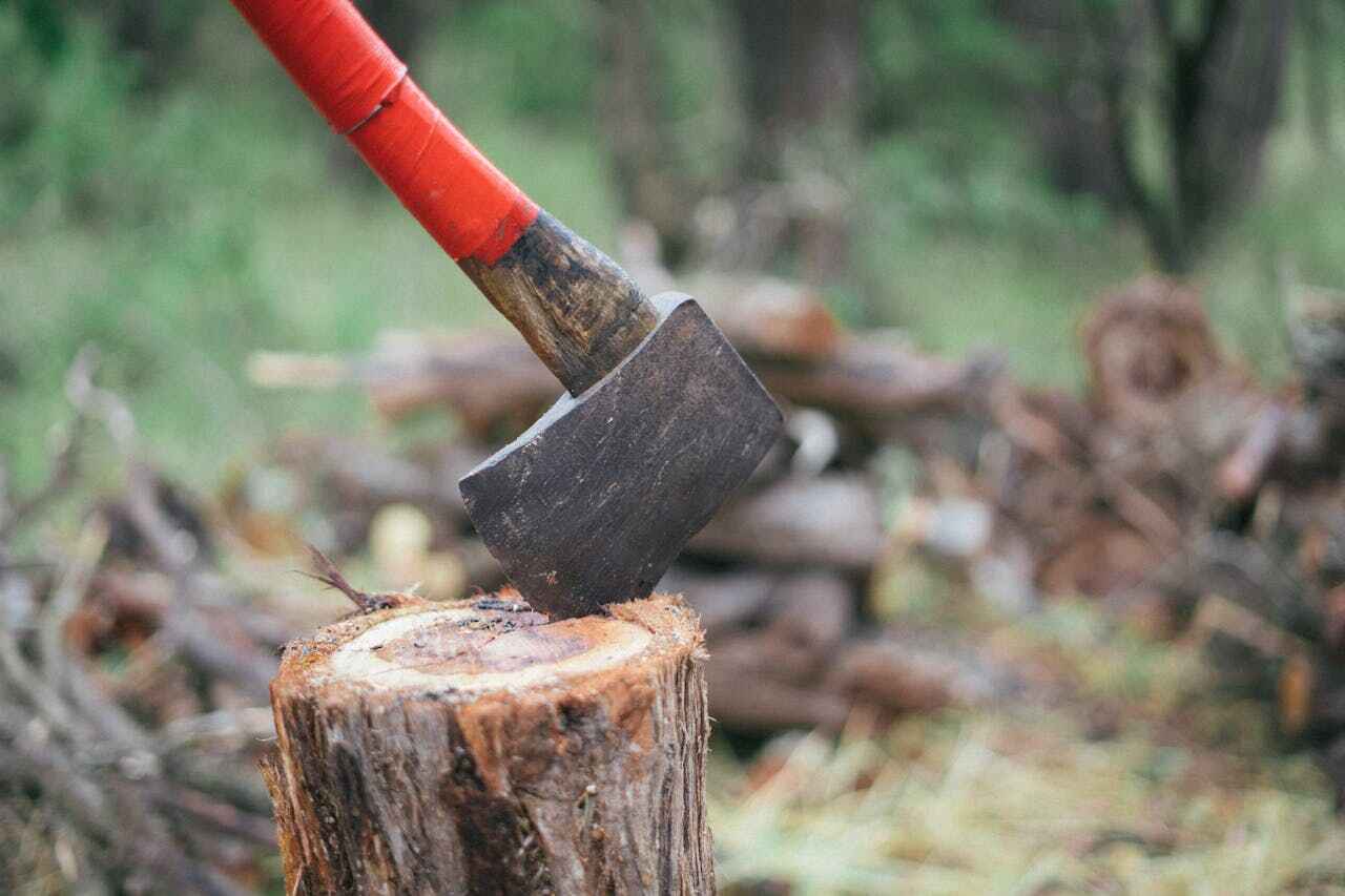 Emergency Storm Tree Removal in Nevada, MO